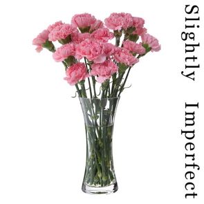 Florabundance Carnation Vase - Slightly Imperfect