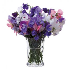 Dartington Florabundance Sweet Pea Vase